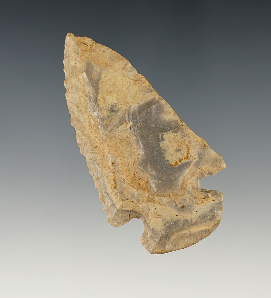 2 1/2" Kentucky Dovetail that is made from Crab Orchard Chert, also know as Tyrone.