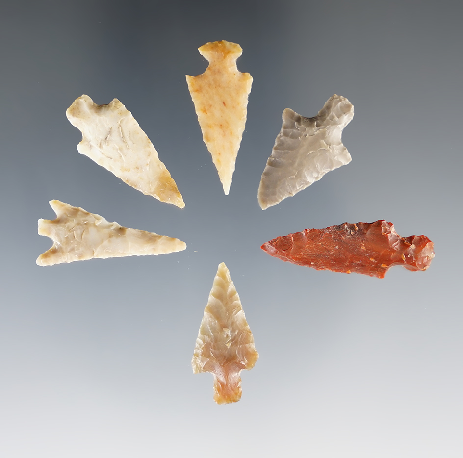Set of 6 Assorted Columbia River Arrowheads, largest is 1 1/8".