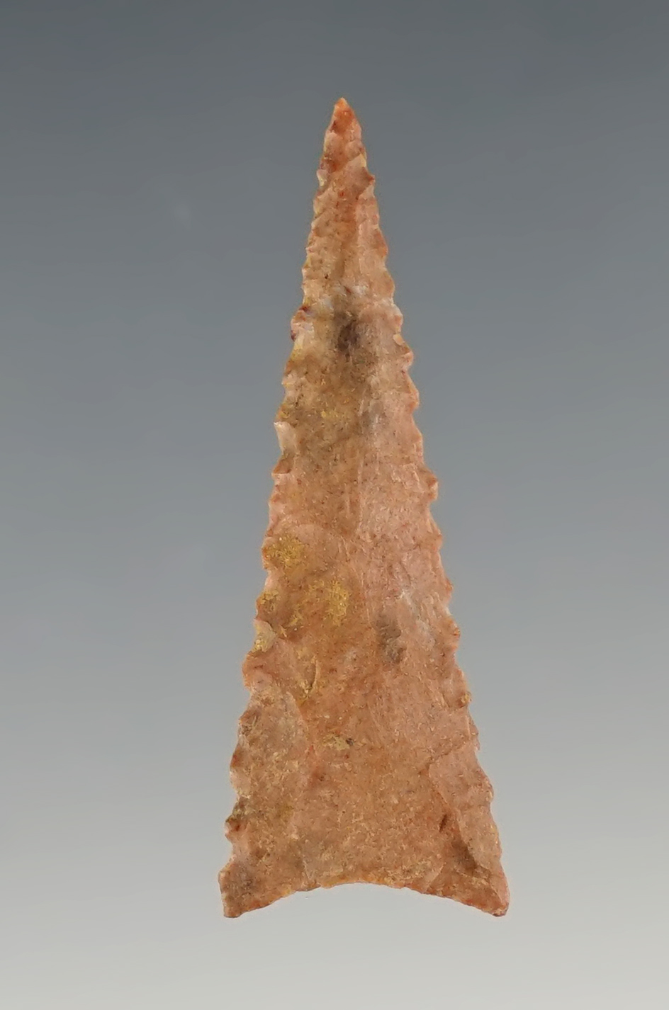 1 1/2" Fort Ancient Triangle with nice edge serrations found in Tennessee.