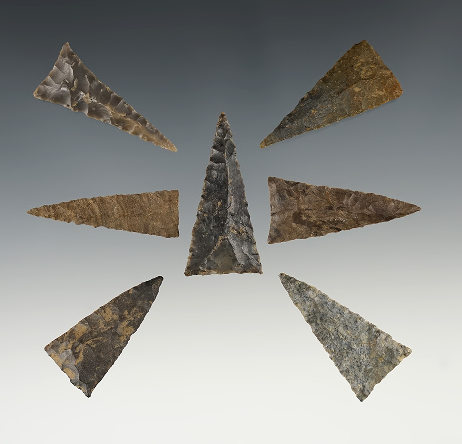 Set of seven very well-made Mississippian Triangle Points found in Tennessee. Largest is 1 9/16".