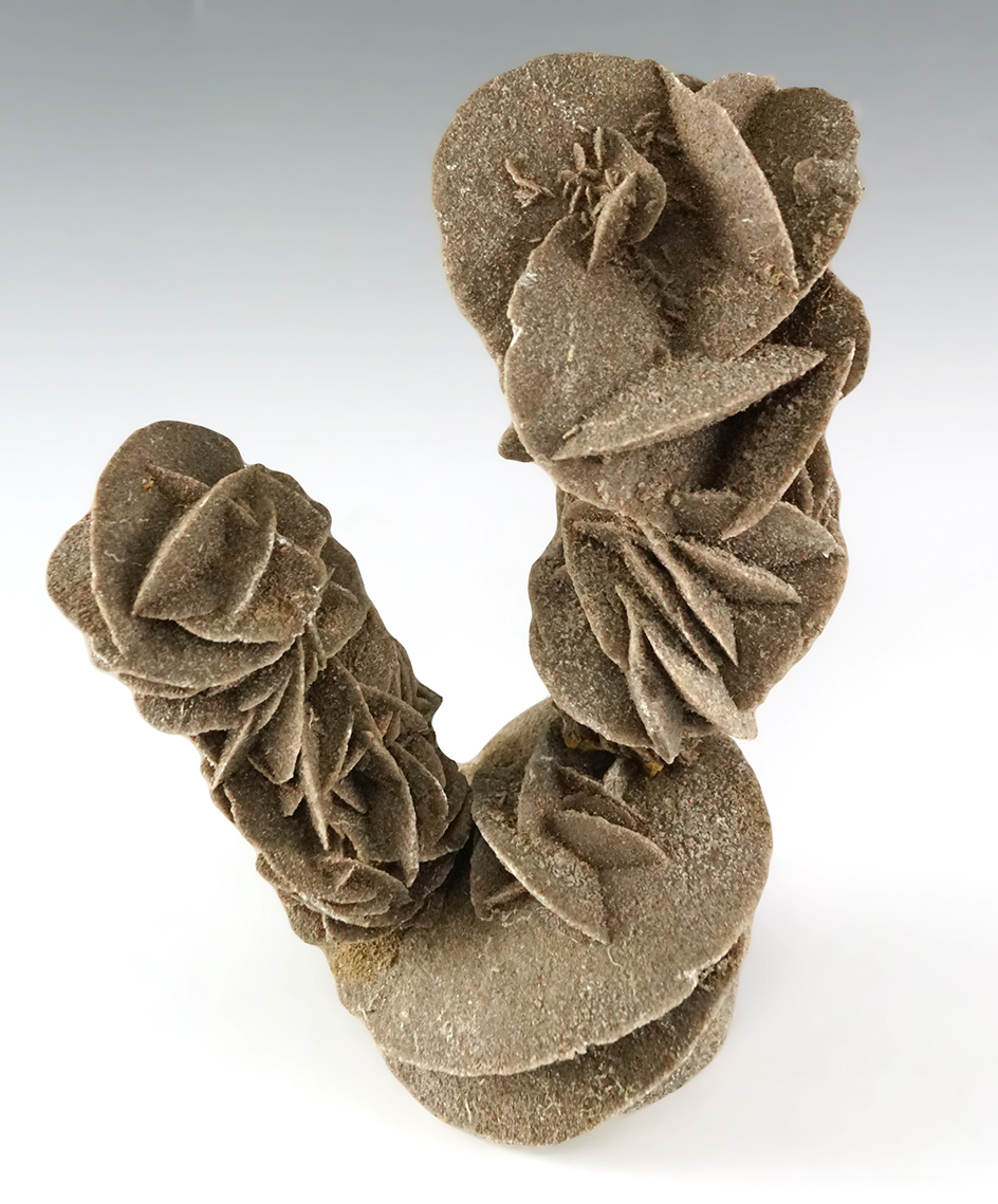 Tall 7 1/8" Desert Rose with one section which has been broken and glued back together.