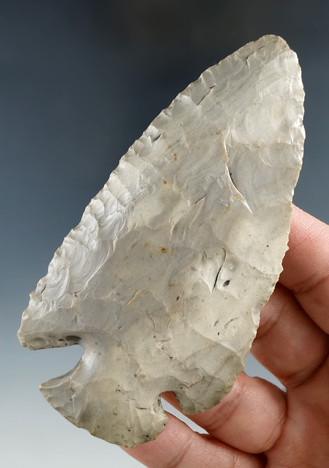 3 7/8" Hornstone Dovetail found by Tom Metcalfe in Harrison Co., Indiana.