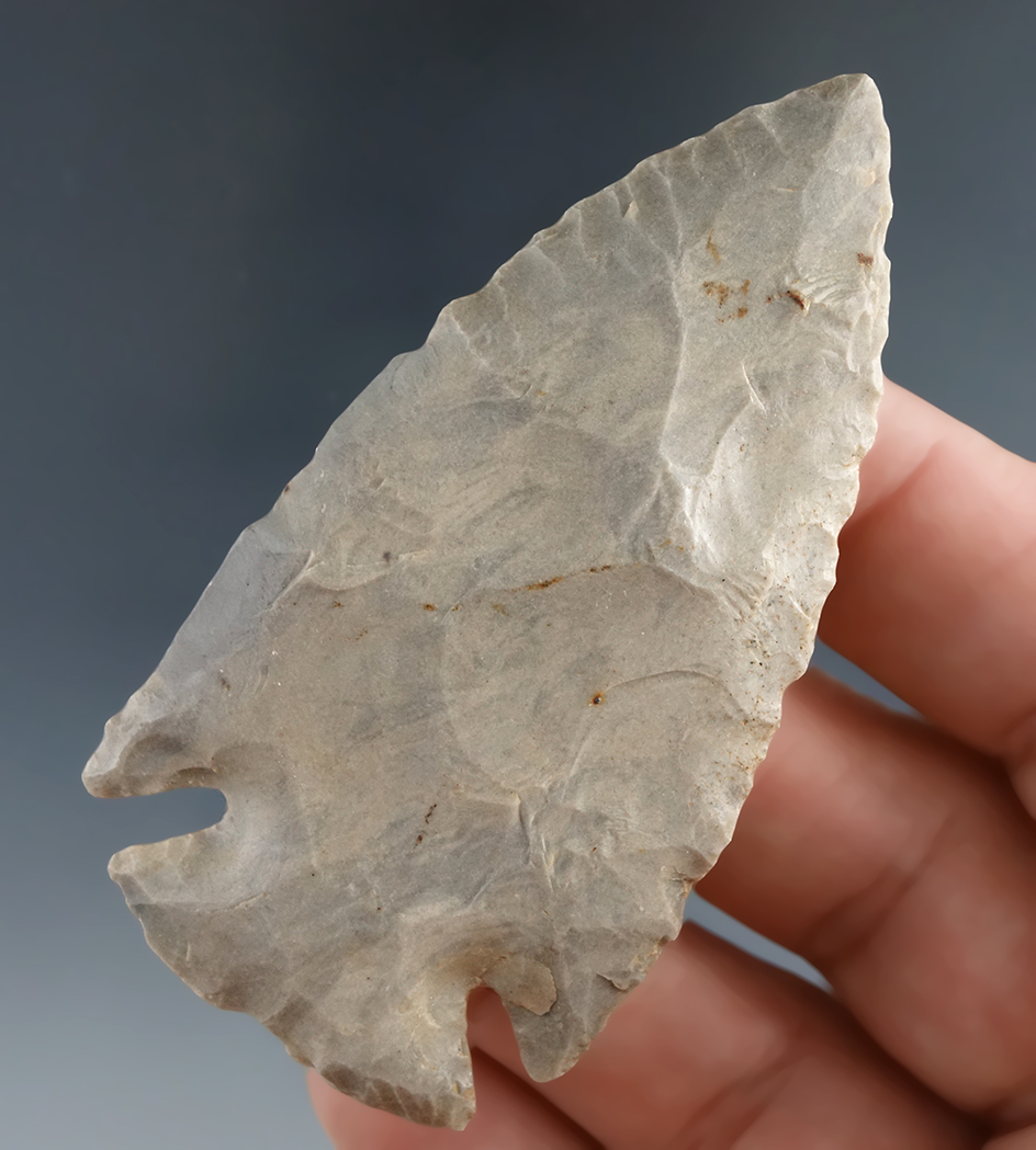 2 5/8" Notched Base Dovetail with two spots of restoration to nicks along the Blade edge.