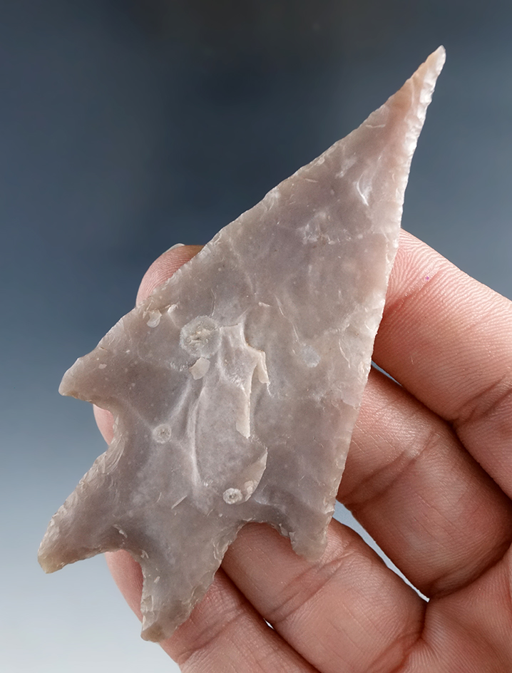 Exceptional style and nice needle tip! 3 7/16" Pedernales found in Kerr Co., Texas. Ex. Bartell.