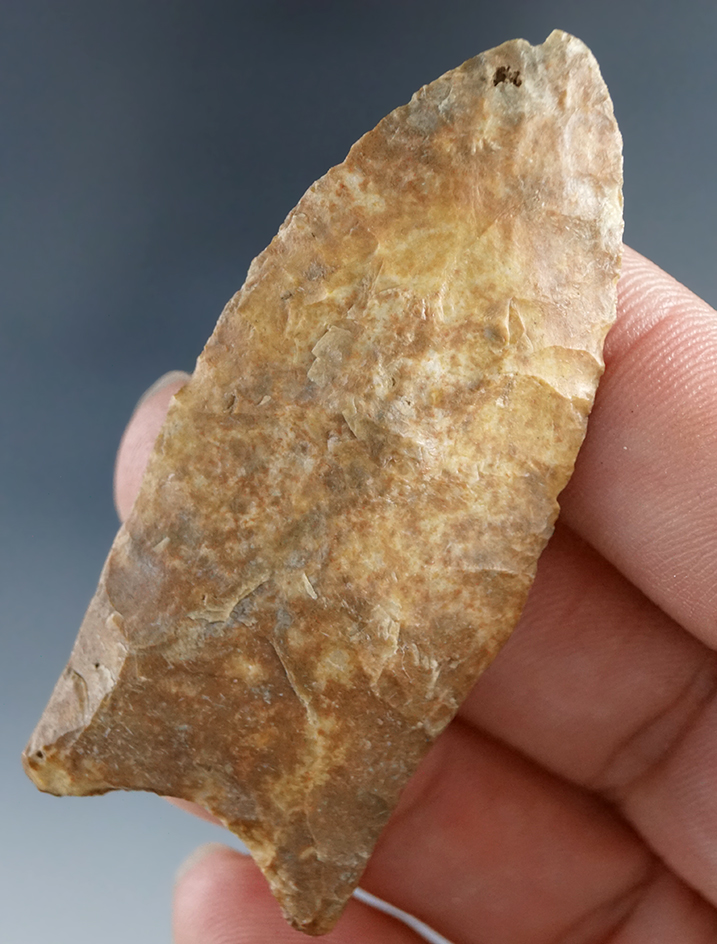 2 3/8" Paleo fluted Clovis made from attractive heavily patinated material found in Indiana.