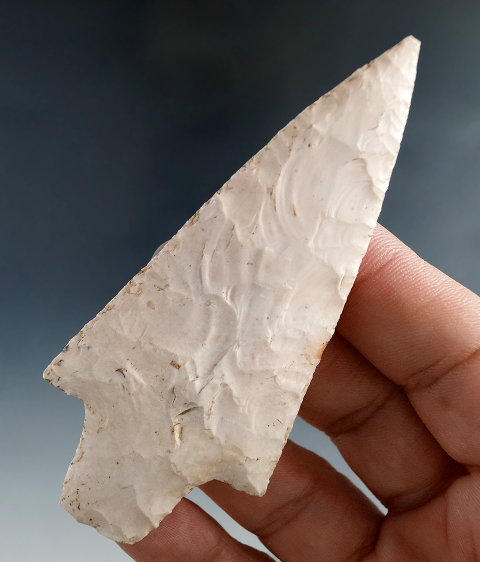 Excellent flaking on this 3 7/16" thin and well styled Dickson point - Polk Co., Missouri.