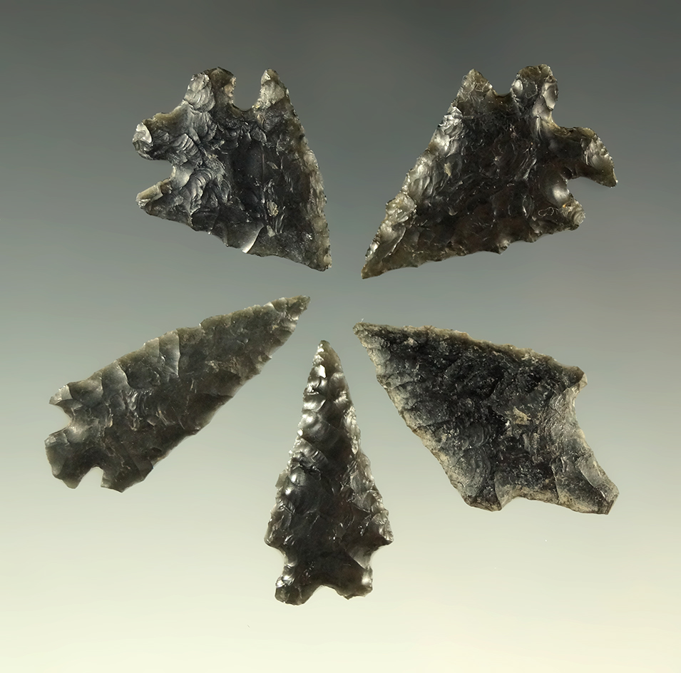 Set of five nice obsidian arrowheads found near Fort Rock Oregon, largest is 1 9/16".