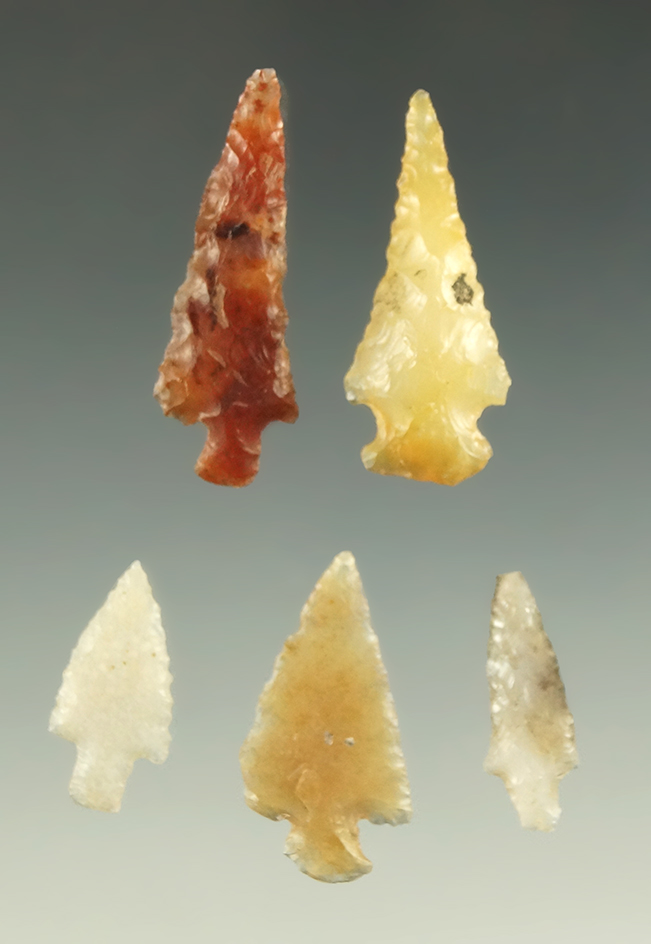Set of five nice the Columbia River arrowheads, largest is 1 1/4".