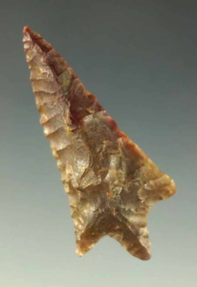 1 3/4" Rabbit Island that is nicely patinated found near the Columbia River.