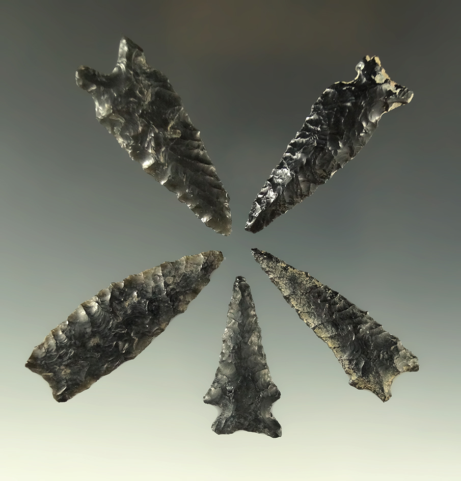 Set of five obsidian arrowheads found near Fort Roth Oregon in nice condition, largest is 1 13/16".