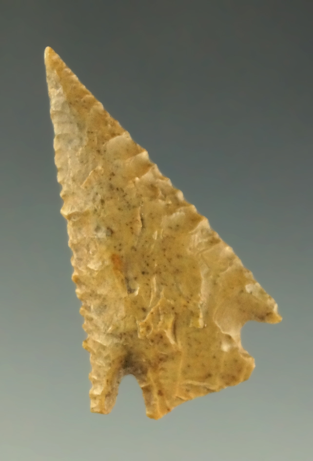 Nice edge serrations on this 1 1/2" cornernotch dart point found near the Columbia River.