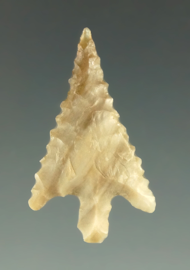 1 3/16" Wallula found by Norma Berg on private property between Vantage and Priest Rapids, WA.