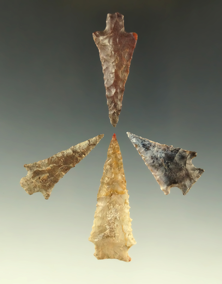 Set of four nice Columbia River arrowheads, largest is 1 15/16".