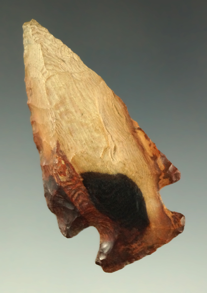 2 1/8" Cornernotch Knife made from attractive multi-colored petrified wood - Columbia River.