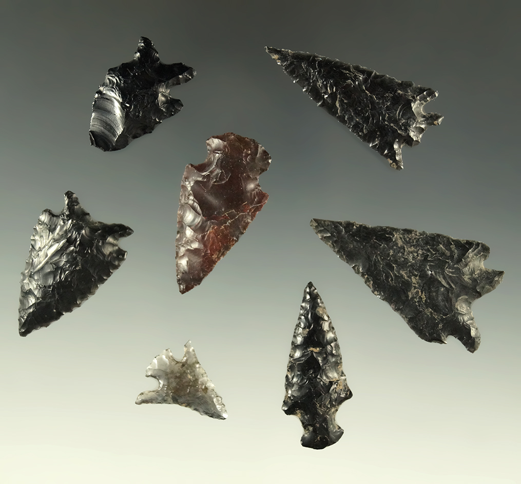 Set of seven assorted Oregon arrowheads, largest is 1 11/16".