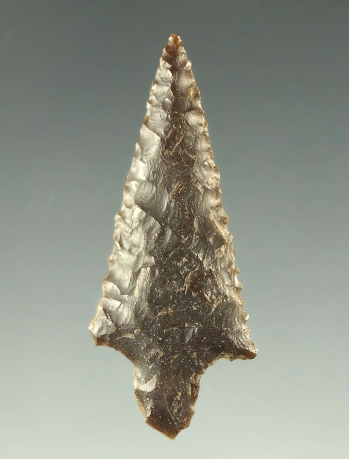 Excellent flaking on this 1 7/16" Rabbit Island found near the Columbia River, Washington.