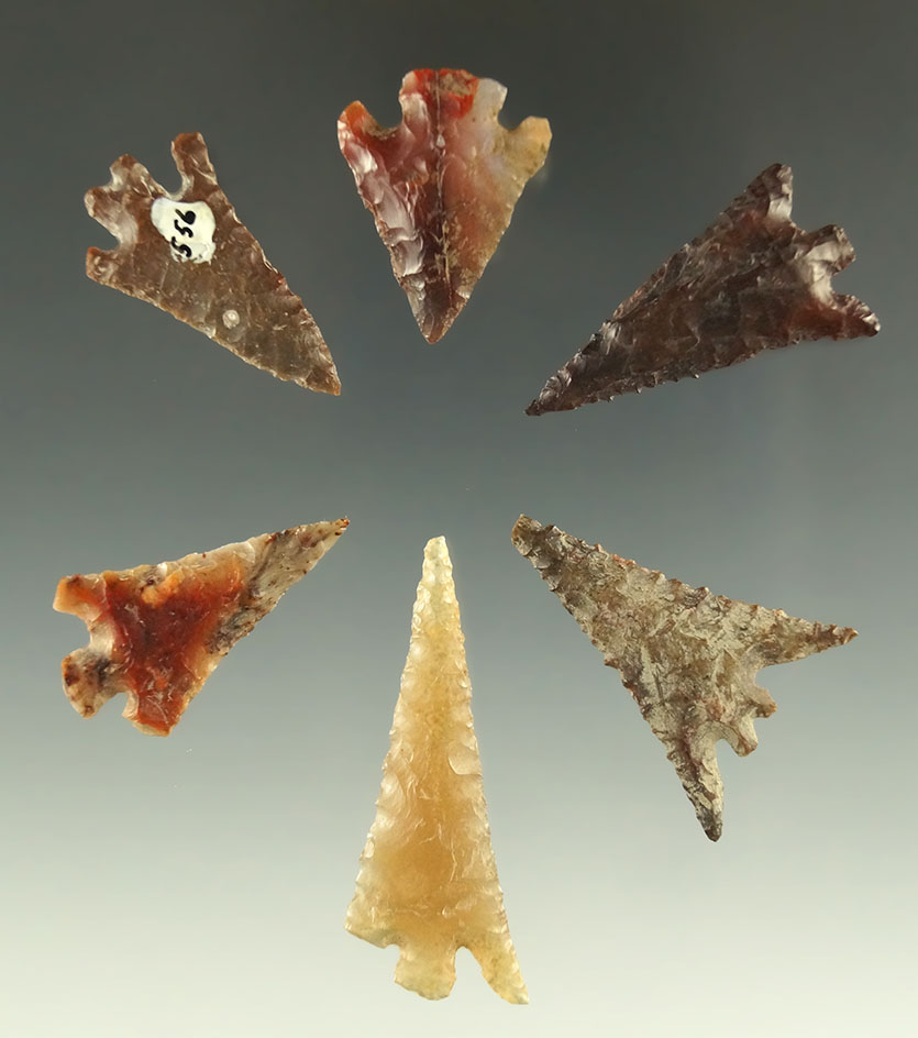 Set of six Columbia Plateau arrowheads found near the Columbia River, largest is 1 9/16".