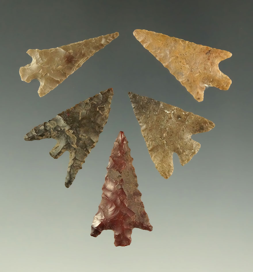 Set of five Columbia Plateau points found near the Columbia River, largest is 1 1/8".
