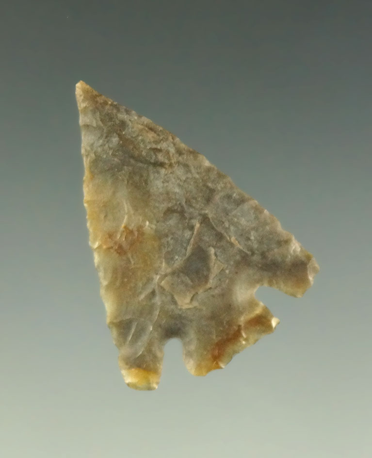 1 1/8" Eastgate found near the Columbia River. Ex. Charlie Shewey collection. Ex. Museum.