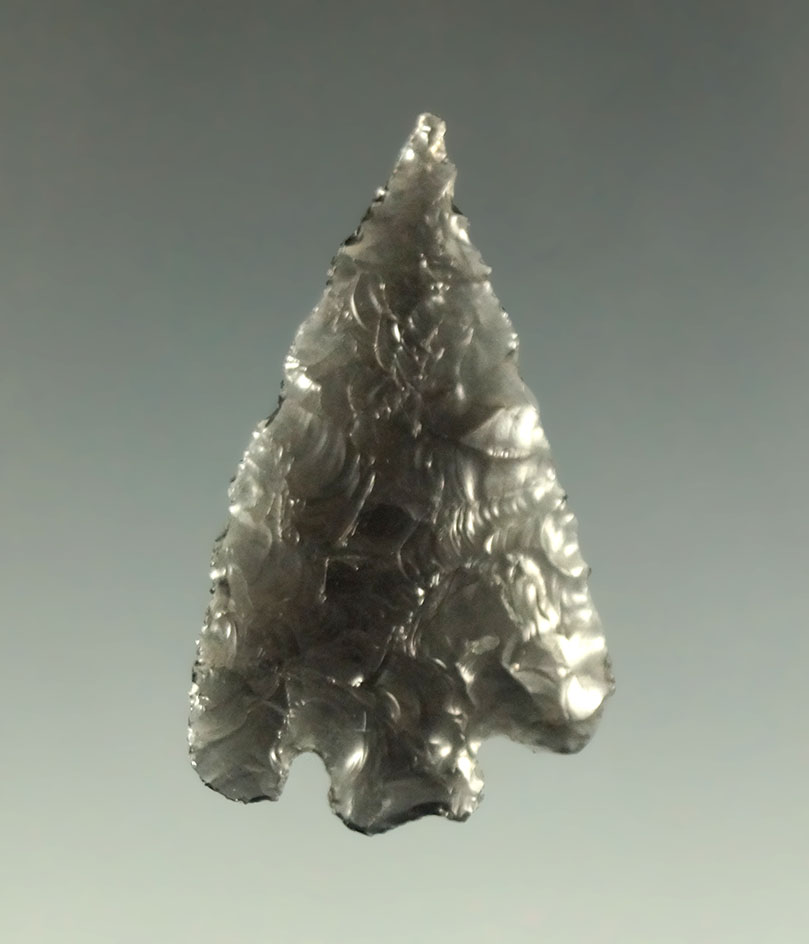 1 7/16" Eastgate - highly translucent obsidian found near the Columbia River. Ex. Museum.