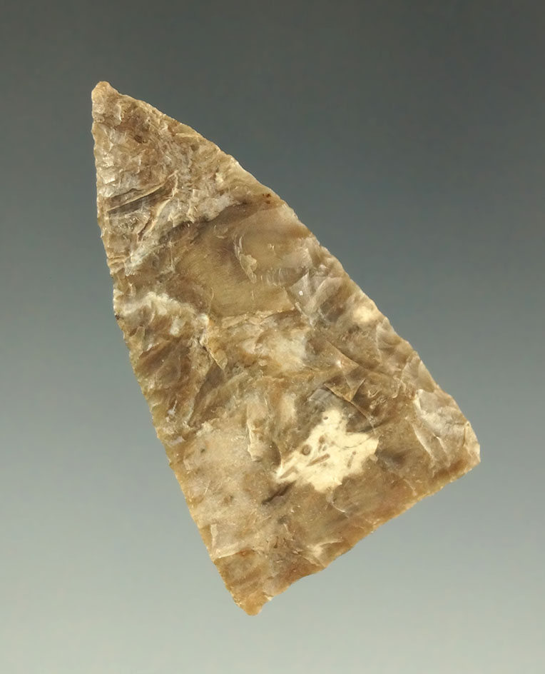 1 3/4" Atlatl Valley Triangular made from beautiful petrified wood found in Washington.