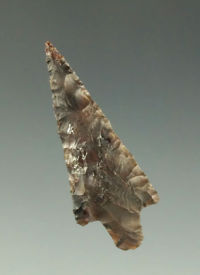 1 3/8" very well flaked Rabbit Island Arrow found near the Dalles, near the Columbia River.