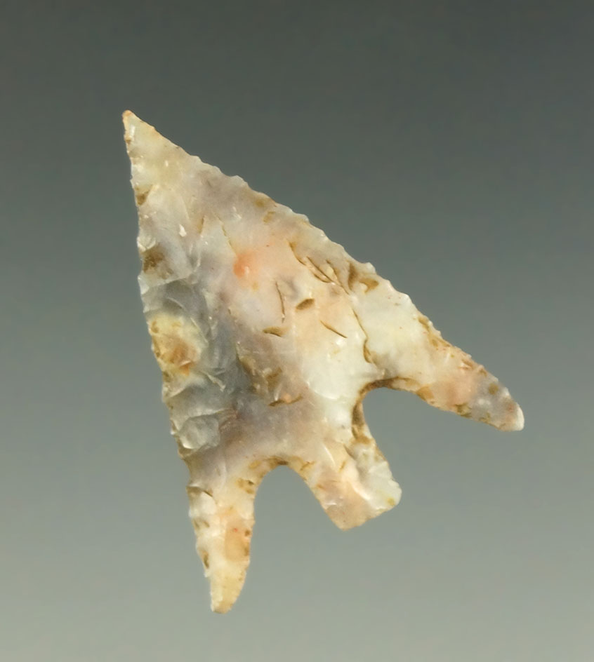 Pictured! 1 3/16" Gunther - attractive multicolored Flint found in southern Oregon. Ex.  Museum.