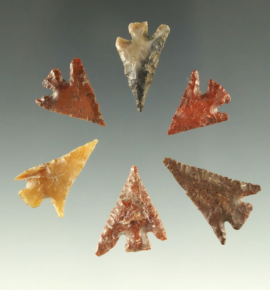 Set of six Columbia Plateau points found near the Columbia River, largest is 15/16".