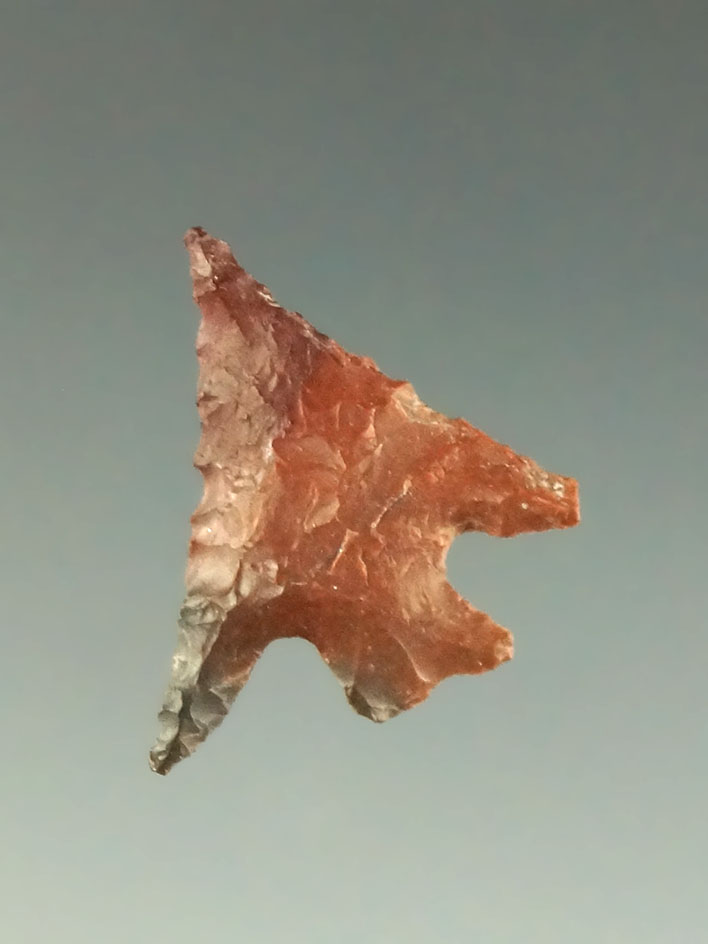 11/16" Columbia Plateau with a nice swept wing made from multi-colored Jasper - Columbia River.