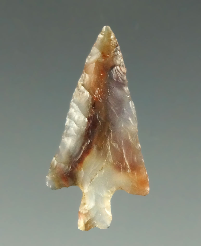 Beautifully colored agate material on this 15/16" Split-Stem Gempoint found - Columbia River, OR.