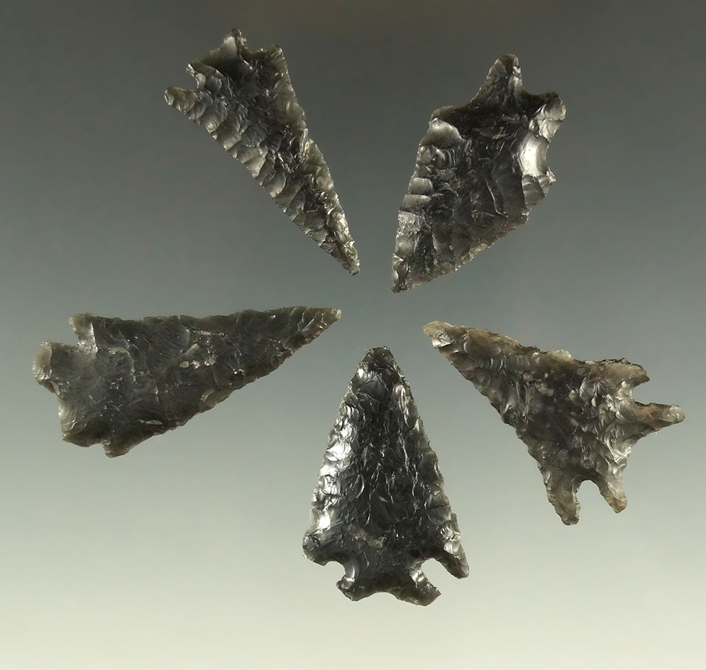 Set of five obsidian arrowheads found near Fort rock Oregon, largest is 1 5/8".