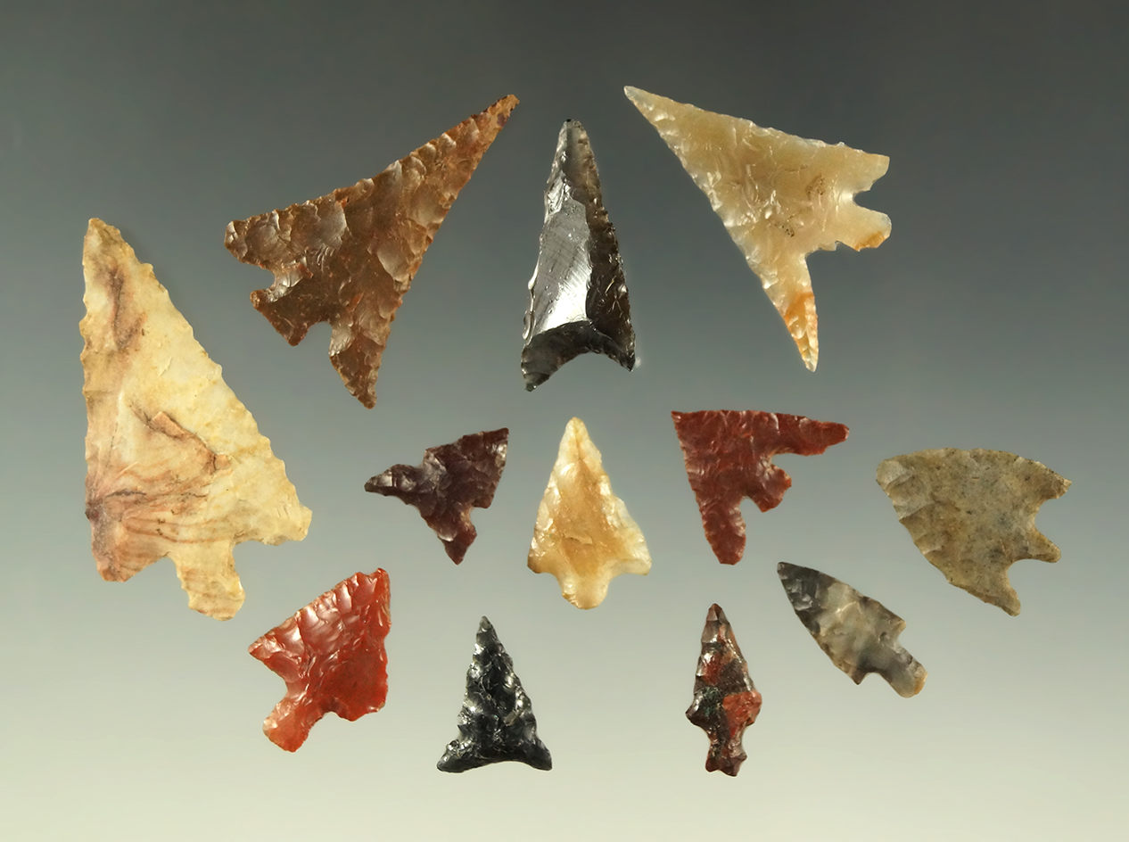 Set of 12 assorted arrowheads found in the Columbia River area, largest is 1 5/8".