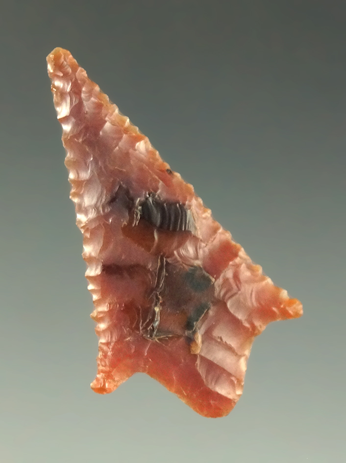 1 3/8" Rabbit Island with incredible edge serrations made from semi translucent pink agate.