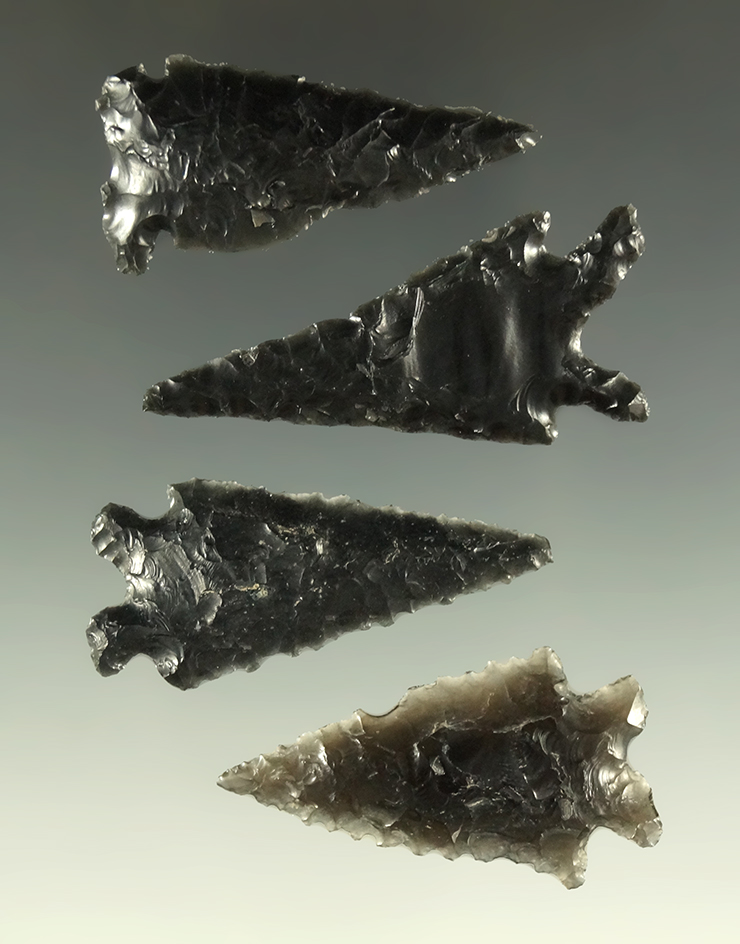 Set of four very nice obsidian arrowheads found in Fort Rock Oregon, largest is 2".