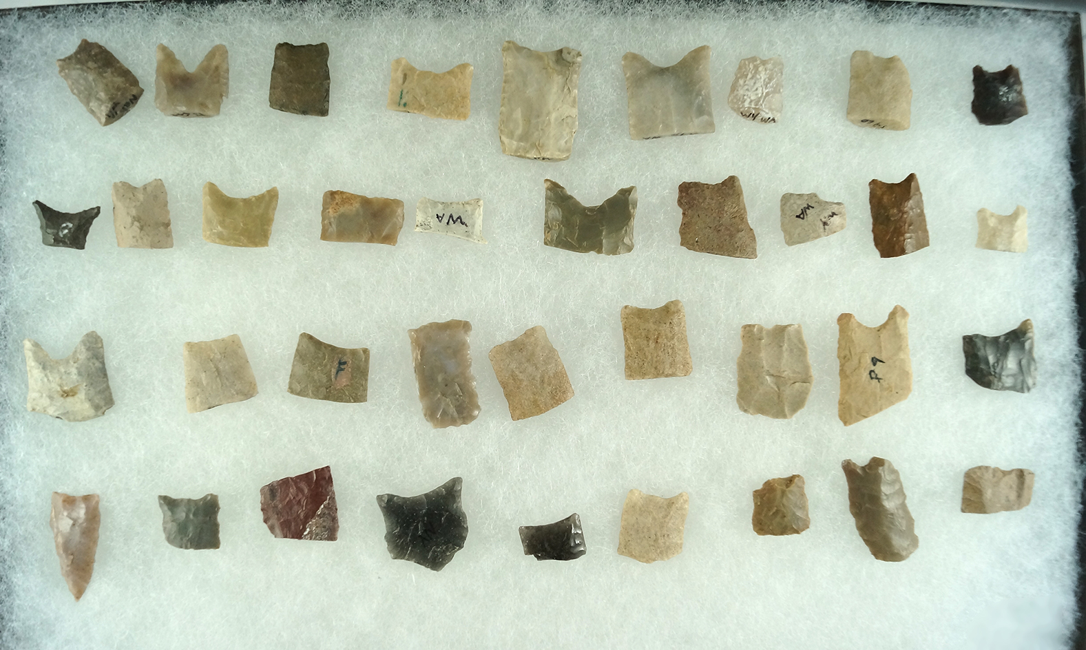 Large group of assorted paleo bases found in the Western U. S. Largest is 1 3/16".