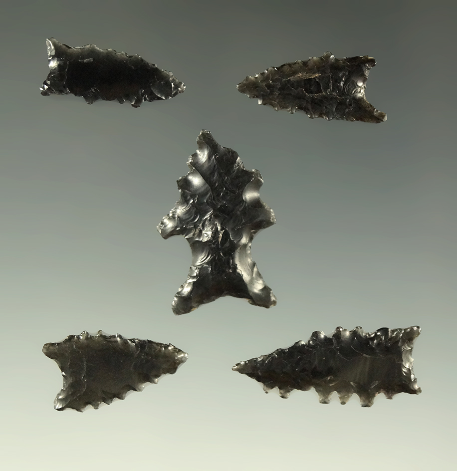 Set of five obsidian arrowheads found in the southwestern U.S., largest is 7/8".