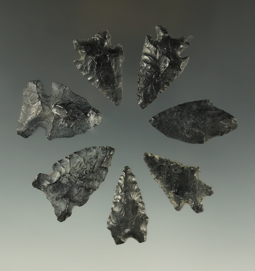 Set of seven assorted obsidian arrowheads found in Fort Rock Oregon, largest is 1 1/2".