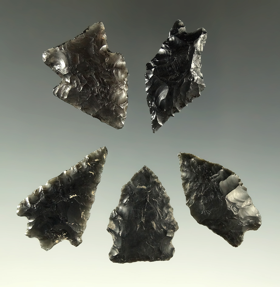 Set of five arrowheads are nicely made from obsidian, largest is 1 1/4".