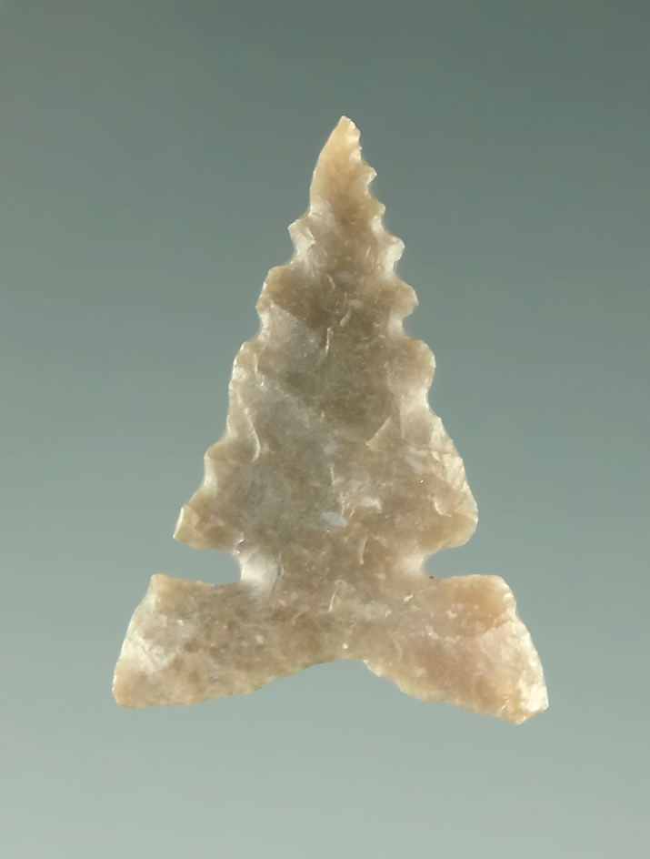 Pictured! 7/8" Toyah point found in Texas. Ex. Charlie Shewey collection. Ex. Museum.