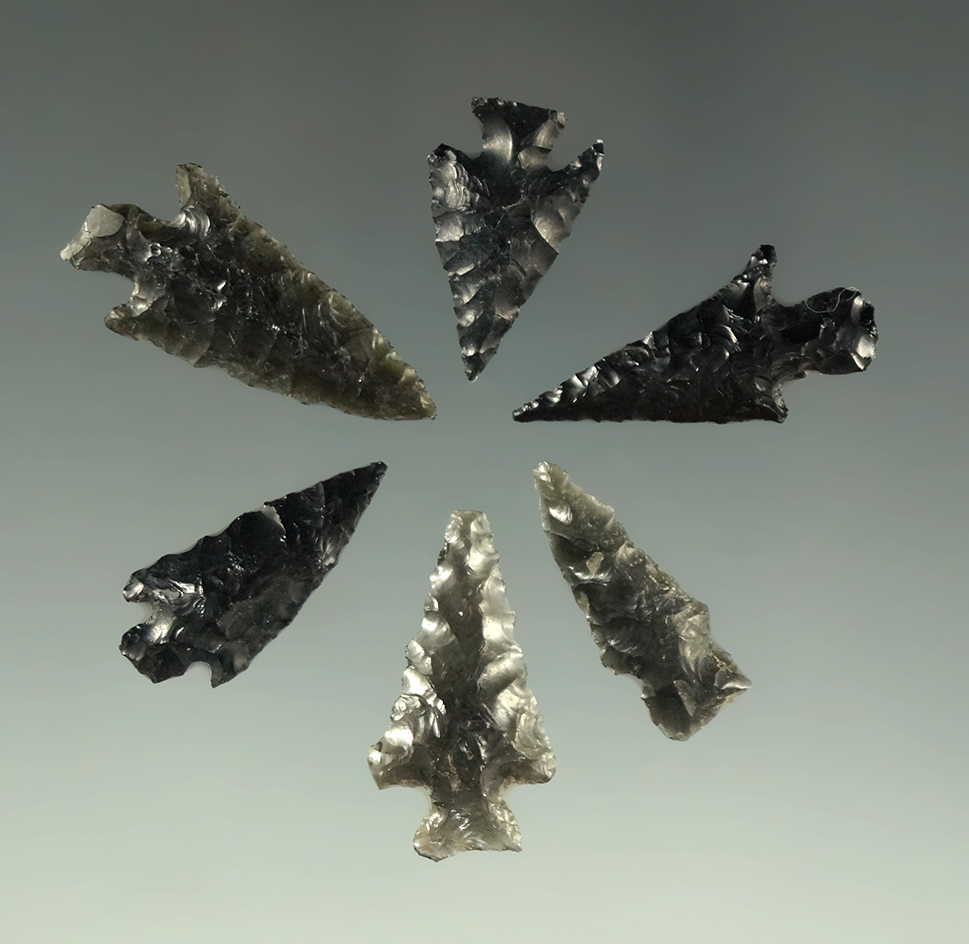 Set of six obsidian arrowheads found near Fort Rock Oregon, largest is 1 3/16".