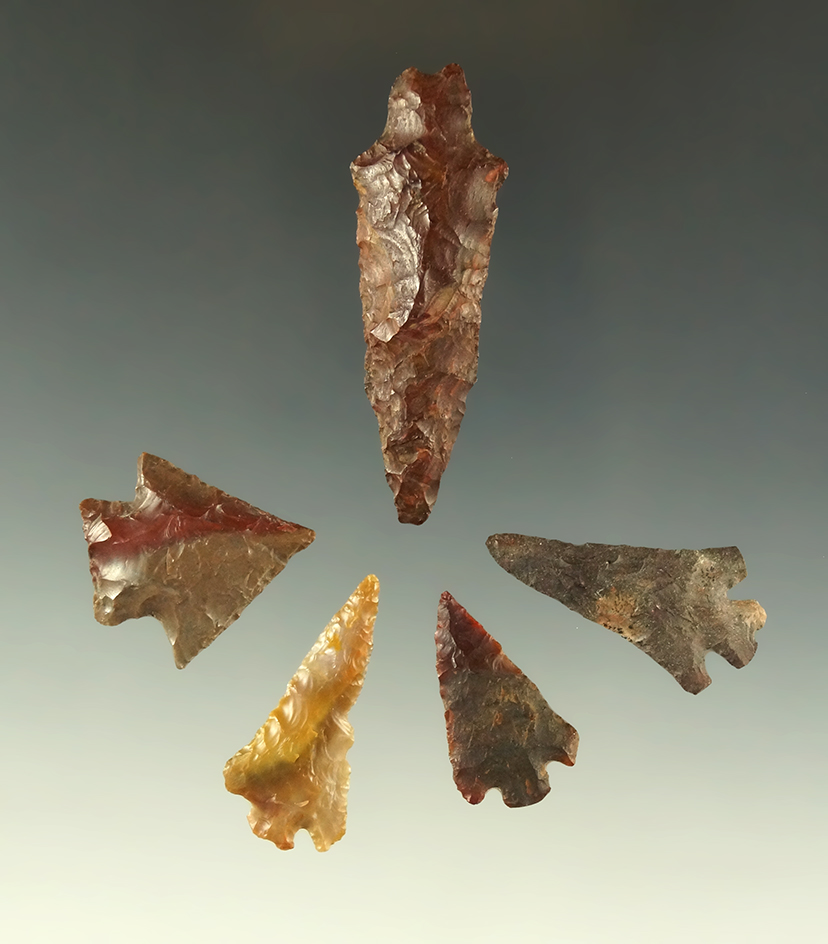 Set of five nice Columbia River arrowheads, largest is 2 1/16".