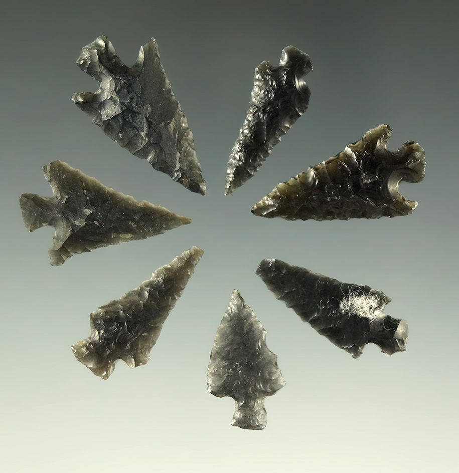 Set of seven obsidian arrowheads found near Fort Rock Oregon, largest is 1 1/16".