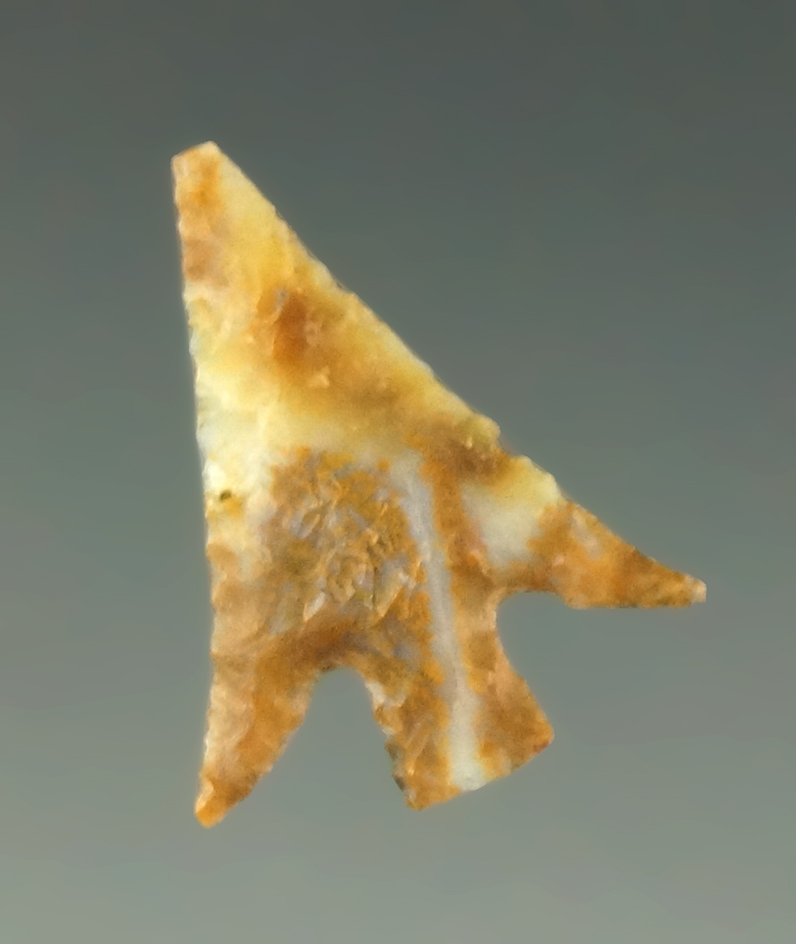 Delicate and extremely well flaked 11/16" Columbia Plateau - near the Dalles, Columbia River.