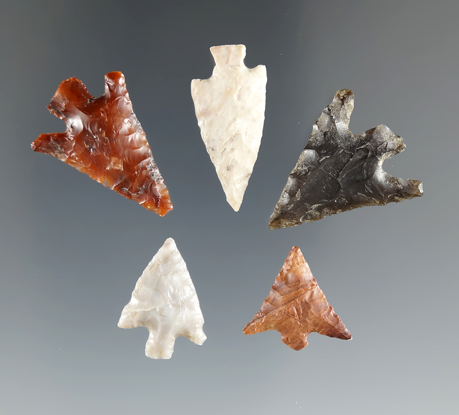 Five Columbia Plateau points - nice materials found near the Entiat River, Washington.