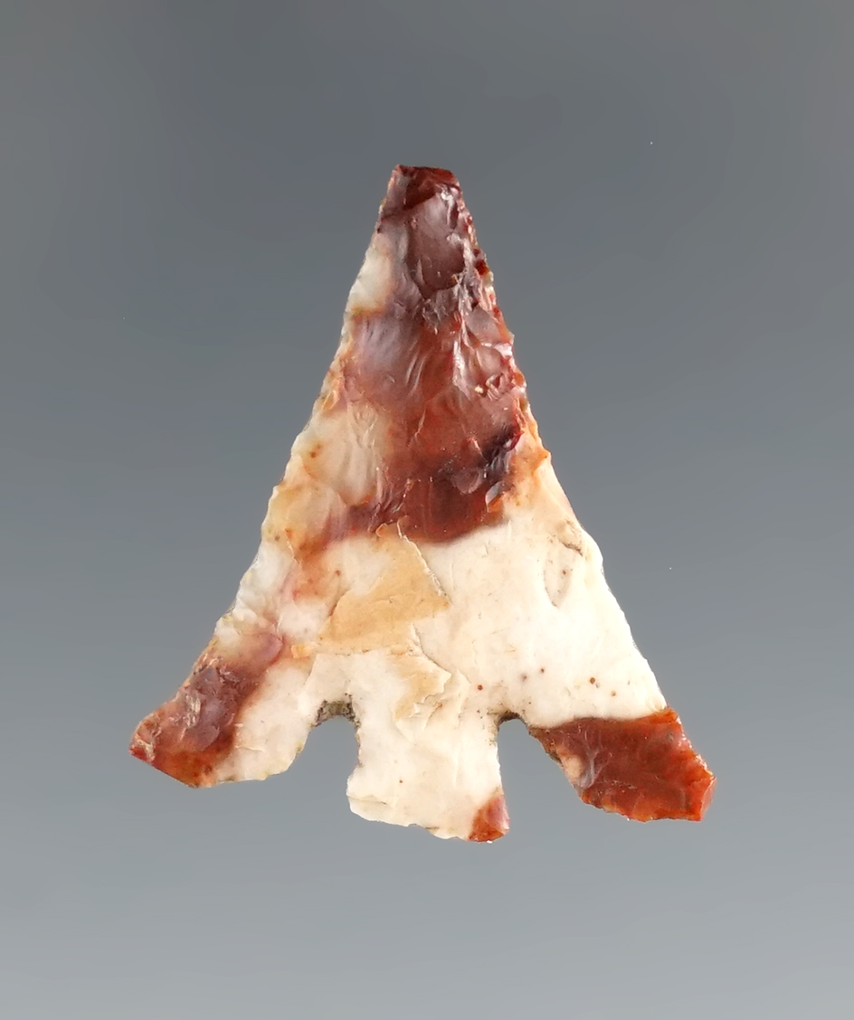 1" Columbia Plateau with nice swept wings made from beautiful material.Vantage Washington.