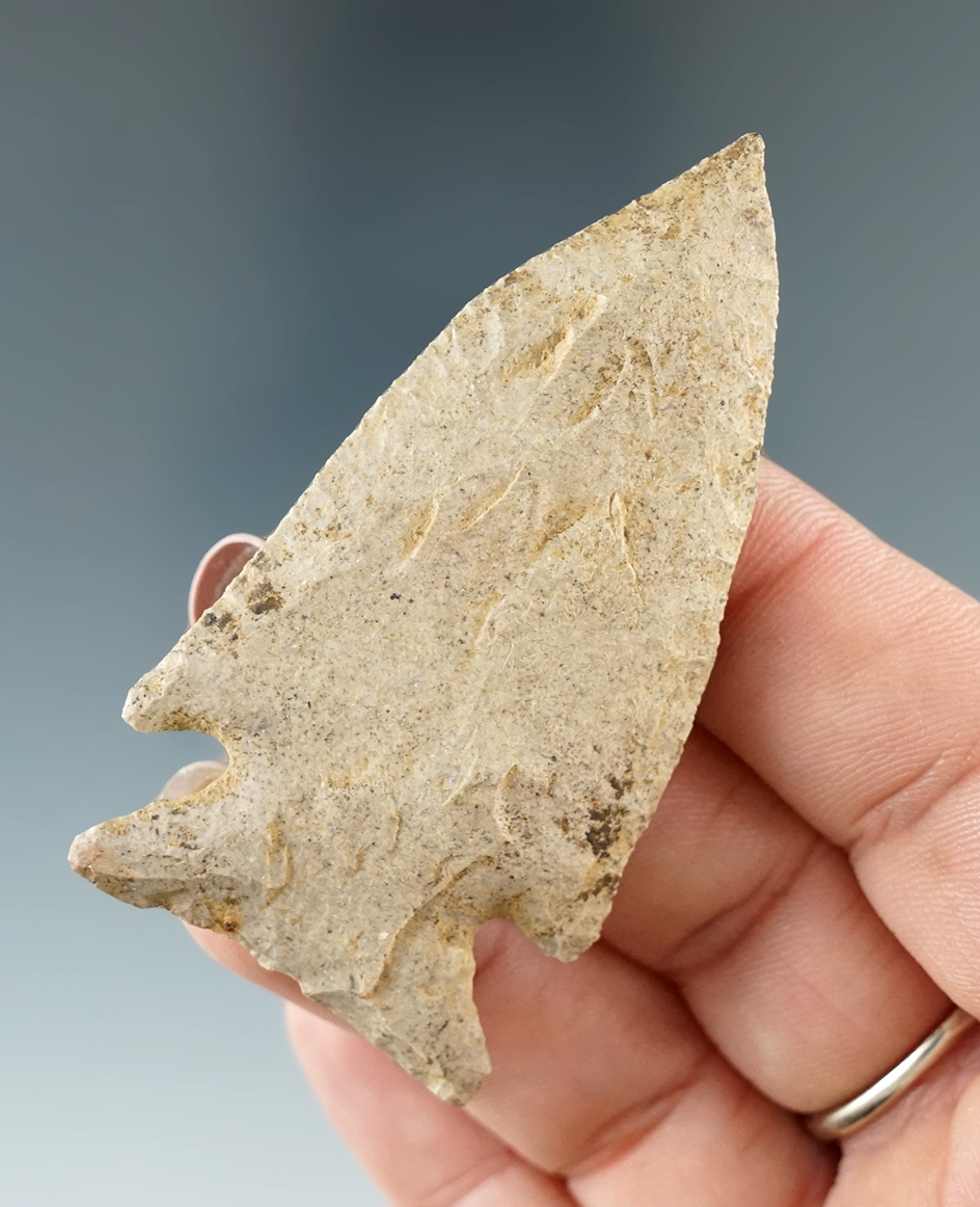 2 9/16" Pine Tree made from Fort Payne chert found in Benton Co., Tennessee. Davis G-8 COA.