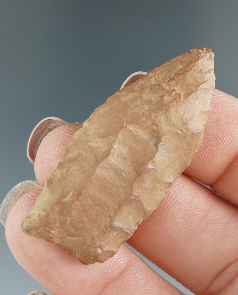 2 13/16" Paleo Fluted Cumberland point found in Kentucky.