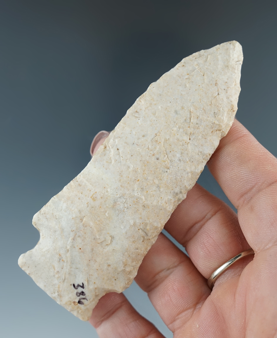 3 13/16" Etley found in Cooper Co., Missouri.