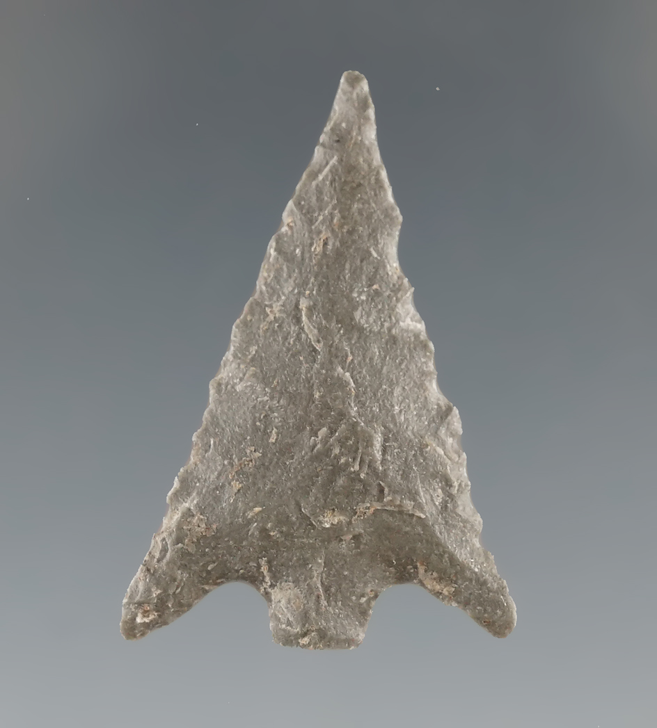 1 3/16" Columbia Plateau that is nicely flaked found near the Columbia River, Washington.