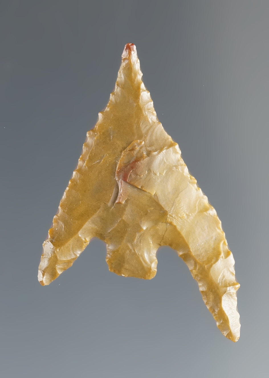 1 3/16" Gunther with a beautiful long ear made from attractive red and yellow Jasper. Oregon.